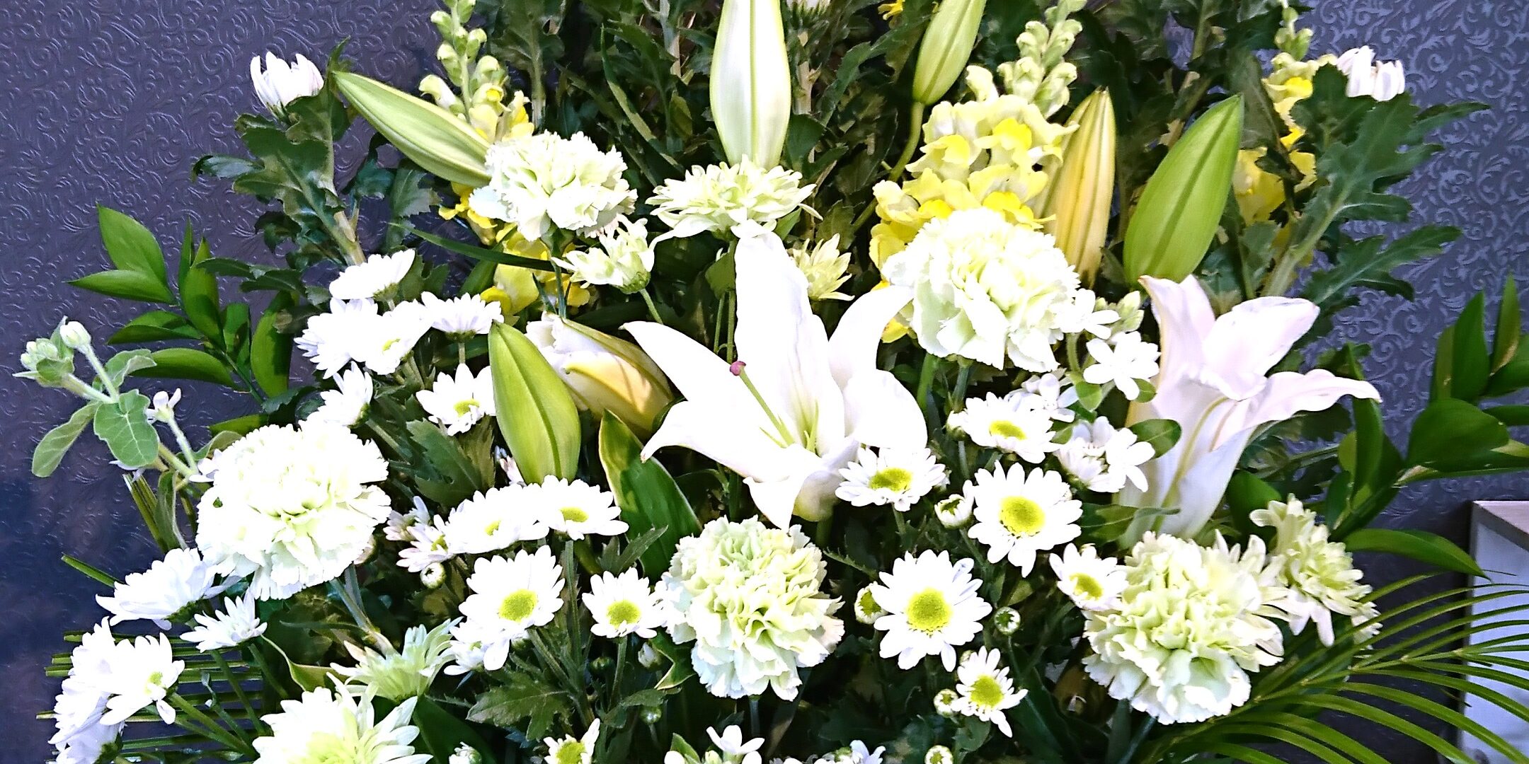 20170812_063156.JPG