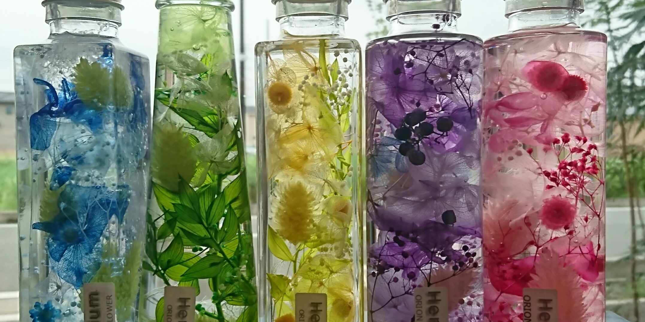 20170731_104823.JPG