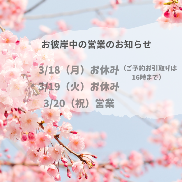 Cherry-Blossoms-Scripture-Instagram-Post_20240318_050627_0000.png