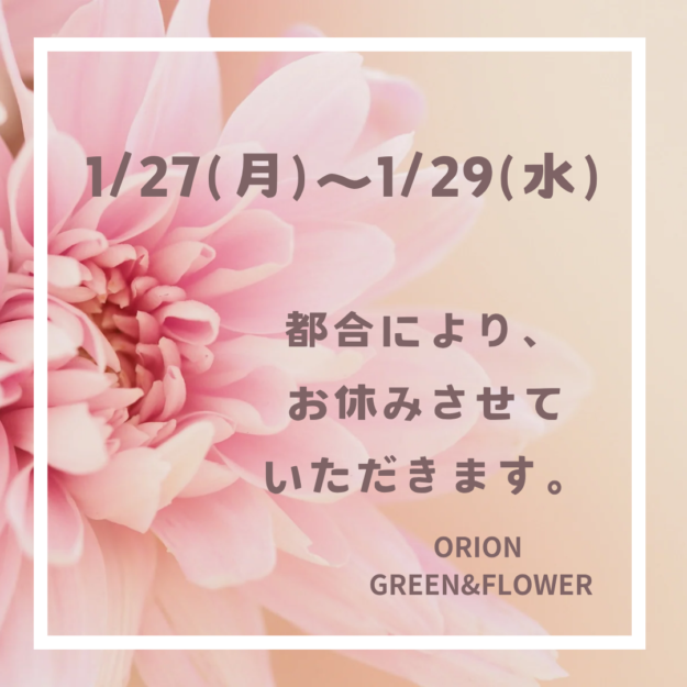5e5c226dadc09866b0a811f4b255c960.png