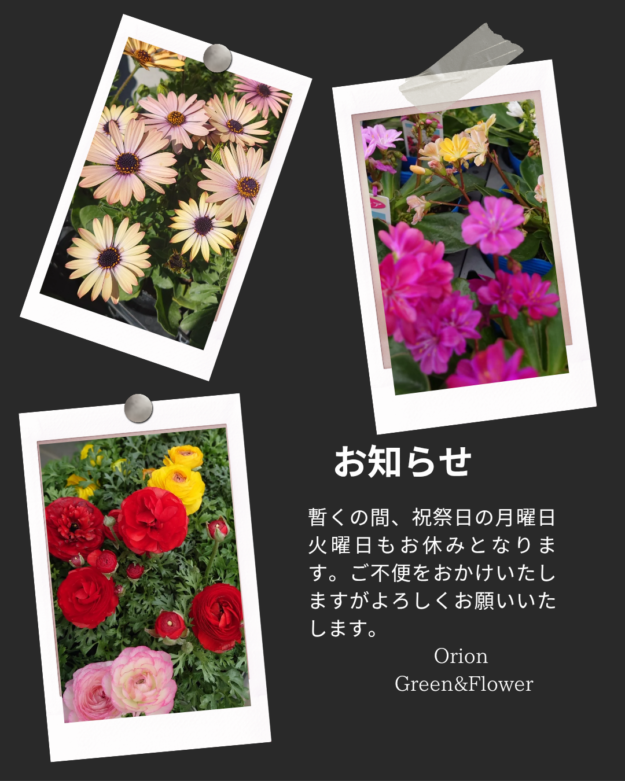 8f049a4dbf741829f7fa2cda4ebac1c0.png