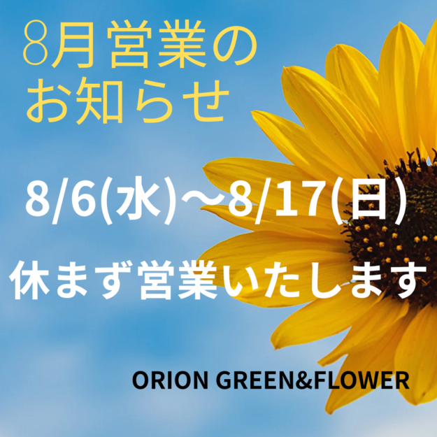 87833e5a2890885cb6f0ebad00b9fd8f.png