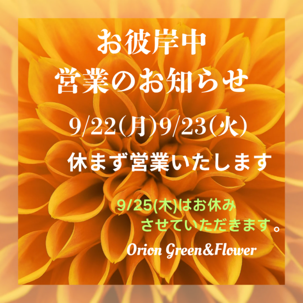 b7b30211b7656e4b765a3666e0be6ec6.png